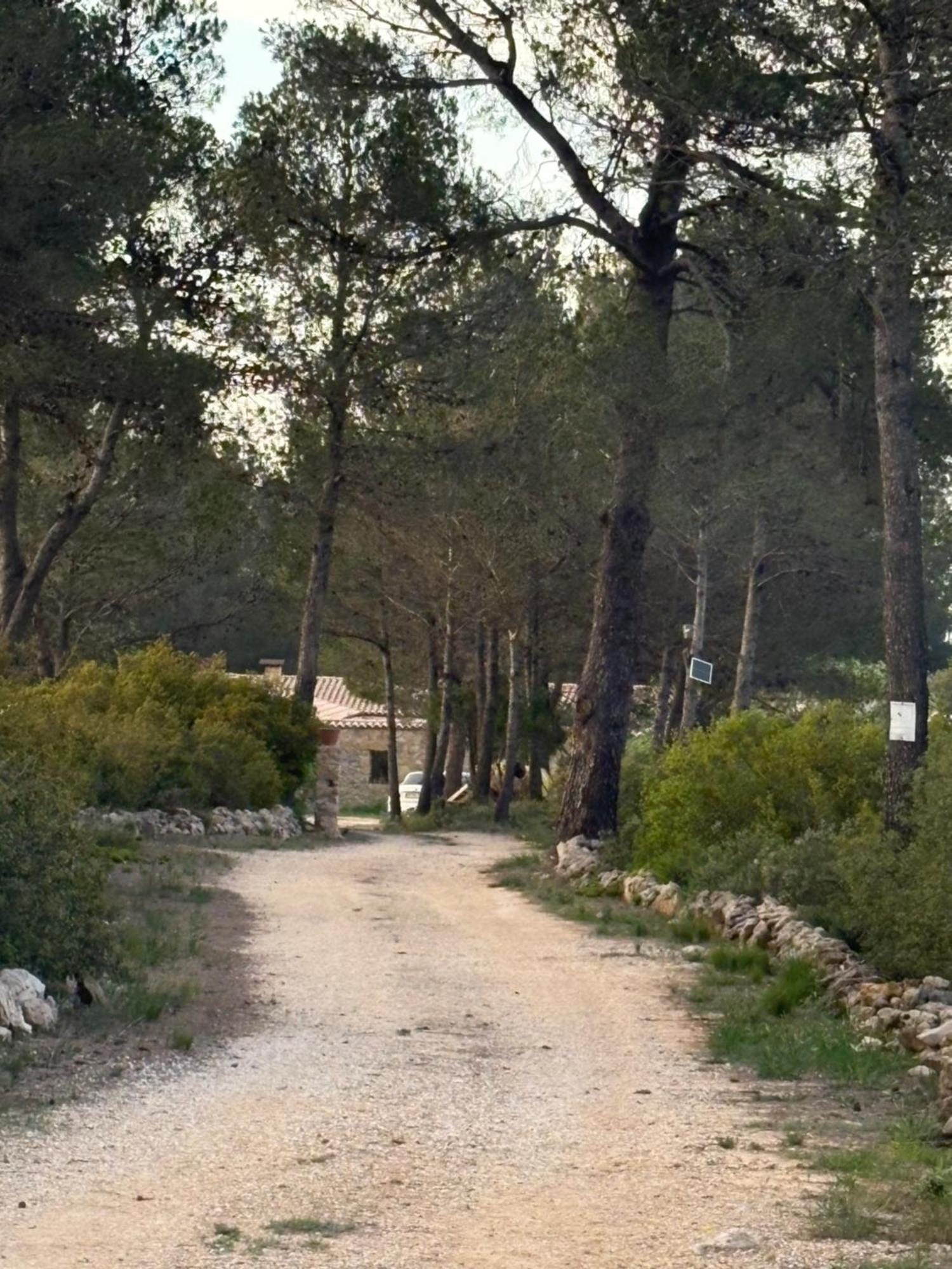 Casa Rural En Un Paraje Natural Enguera Ngoại thất bức ảnh